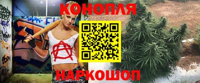 гидропоника Малгобек