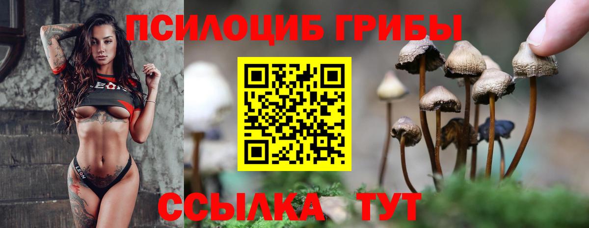 Елабуга  Псилоцибиновые грибы мухоморы  Псилоцибиновые грибы MAGIC MUSHROOMS  Вход с VPN 